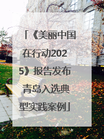 《美丽中国在行动2025》报告发布 青岛入选典型实践案例