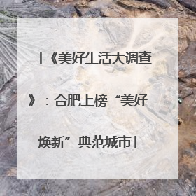 《美好生活大调查》：合肥上榜“美好焕新”典范城市