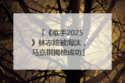 《歌手2025》林志炫被淘汰，马嘉祺揭榜成功