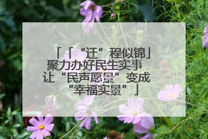 「“迁”程似锦」聚力办好民生实事 让“民声愿景”变成“幸福实景”