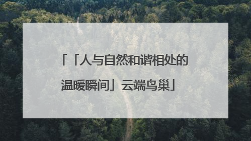 「人与自然和谐相处的温暖瞬间」云端鸟巢
