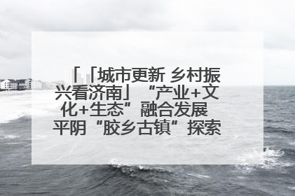 「城市更新 乡村振兴看济南」“产业+文化+生态”融合发展 平阴“胶乡古镇”探索振兴路径成效显著