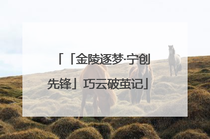 「金陵逐梦·宁创先锋」巧云破茧记