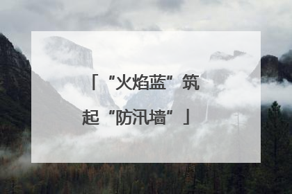 “火焰蓝”筑起“防汛墙”