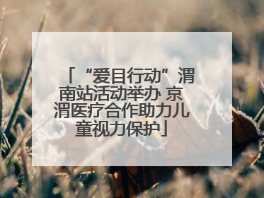 “爱目行动”渭南站活动举办 京渭医疗合作助力儿童视力保护