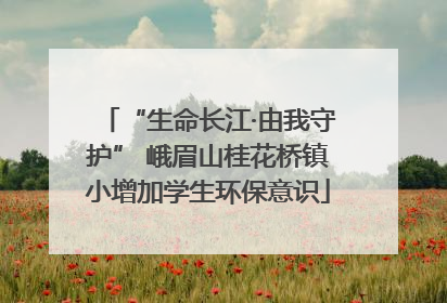 “生命长江·由我守护” 峨眉山桂花桥镇小增加学生环保意识