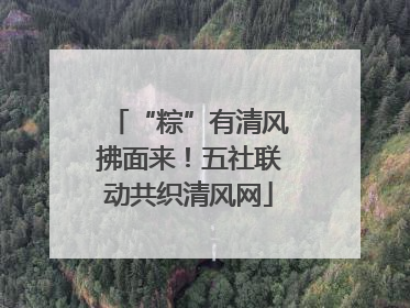 “粽”有清风拂面来！五社联动共织清风网