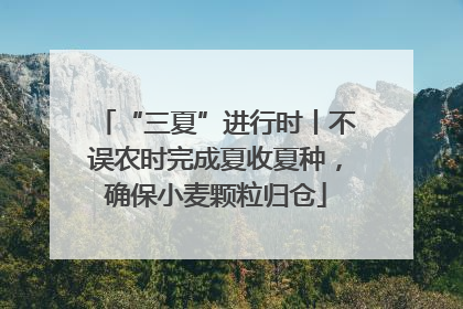 “三夏”进行时丨不误农时完成夏收夏种，确保小麦颗粒归仓