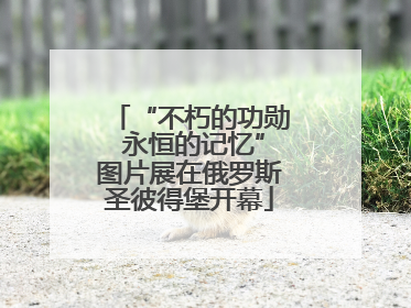 “不朽的功勋 永恒的记忆”图片展在俄罗斯圣彼得堡开幕