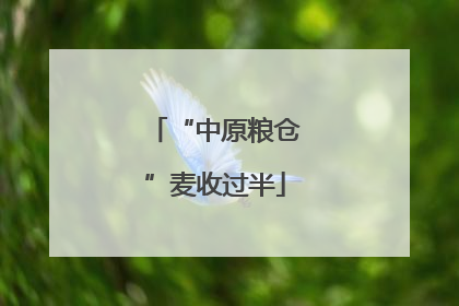 “中原粮仓”麦收过半