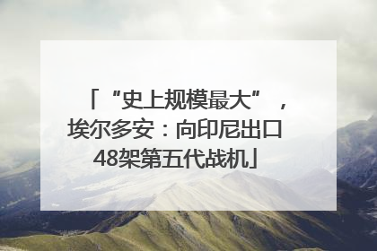 “史上规模最大”，埃尔多安：向印尼出口48架第五代战机