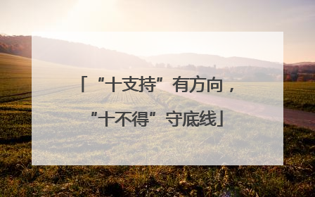 “十支持”有方向，“十不得”守底线