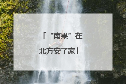 “南果”在北方安了家