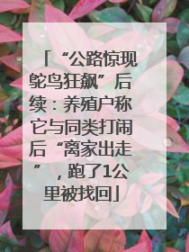 “公路惊现鸵鸟狂飙”后续：养殖户称它与同类打闹后“离家出走”，跑了1公里被找回