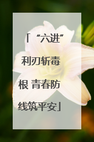“六进” 利刃斩毒根 青春防线筑平安