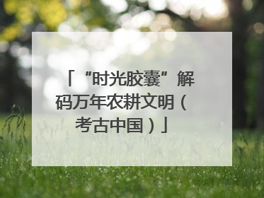 “时光胶囊”解码万年农耕文明（考古中国）