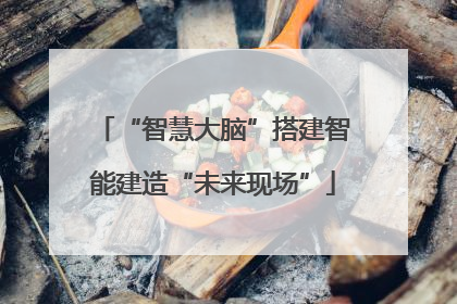 “智慧大脑”搭建智能建造“未来现场”