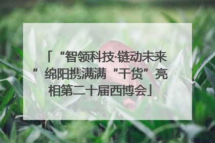 “智领科技·链动未来”绵阳携满满“干货”亮相第二十届西博会
