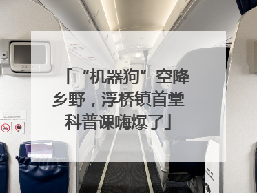 “机器狗”空降乡野，浮桥镇首堂科普课嗨爆了