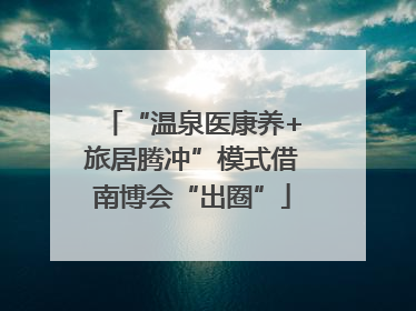 “温泉医康养+旅居腾冲”模式借南博会“出圈”