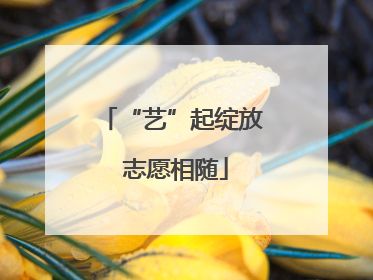 “艺”起绽放 志愿相随