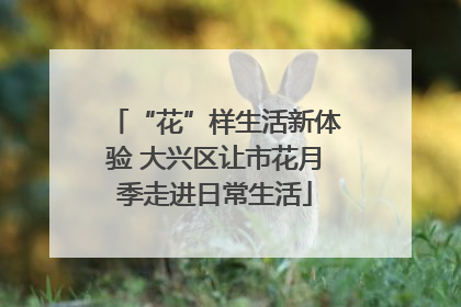 “花”样生活新体验 大兴区让市花月季走进日常生活