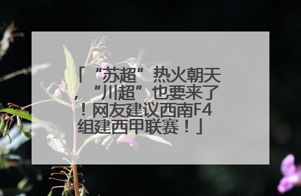 “苏超”热火朝天，“川超”也要来了！网友建议西南F4组建西甲联赛！