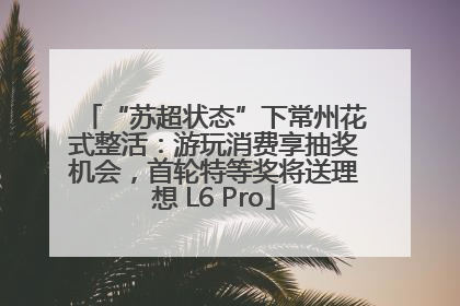 “苏超状态”下常州花式整活：游玩消费享抽奖机会，首轮特等奖将送理想 L6 Pro