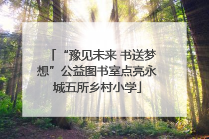 “豫见未来 书送梦想”公益图书室点亮永城五所乡村小学