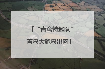 “青鸾特巡队”青岛大鲍岛出圈