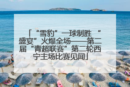 “雪豹”一球制胜 “盛宴”火爆全场——第二届“青超联赛”第二轮西宁主场比赛见闻