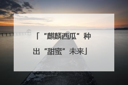 “麒麟西瓜”种出“甜蜜”未来