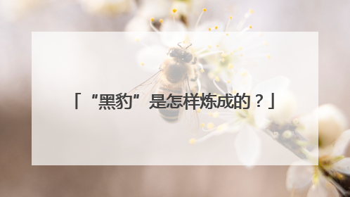 “黑豹”是怎样炼成的？