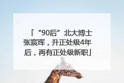 “90后”北大博士张宸珲，升正处级4年后，再有正处级新职