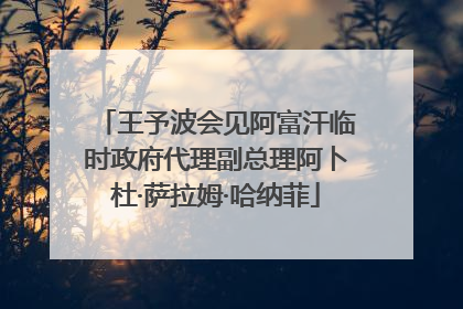 王予波会见阿富汗临时政府代理副总理阿卜杜·萨拉姆·哈纳菲