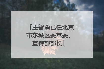 王智勇已任北京市东城区委常委、宣传部部长