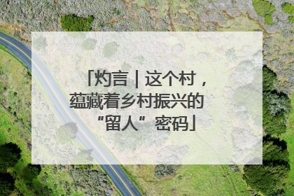 灼言｜这个村，蕴藏着乡村振兴的“留人”密码