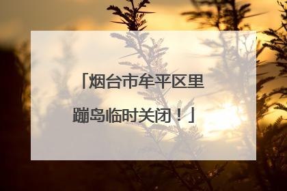 烟台市牟平区里蹦岛临时关闭！