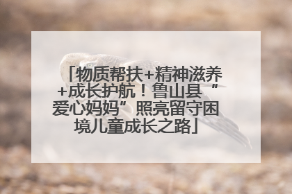 物质帮扶+精神滋养+成长护航！鲁山县“爱心妈妈”照亮留守困境儿童成长之路