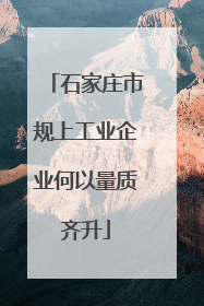 石家庄市规上工业企业何以量质齐升