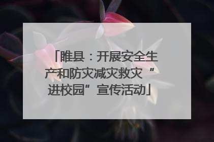 睢县：开展安全生产和防灾减灾救灾“进校园”宣传活动