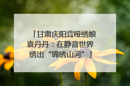 甘肃庆阳聋哑绣娘袁丹丹：在静音世界绣出“锦绣山河”