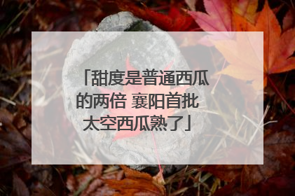 甜度是普通西瓜的两倍 襄阳首批太空西瓜熟了