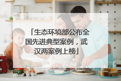 生态环境部公布全国先进典型案例，武汉两案例上榜