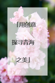 用创意探寻青海之美