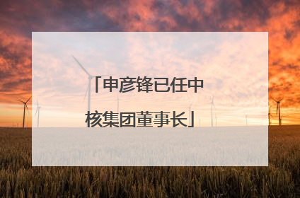 申彦锋已任中核集团董事长