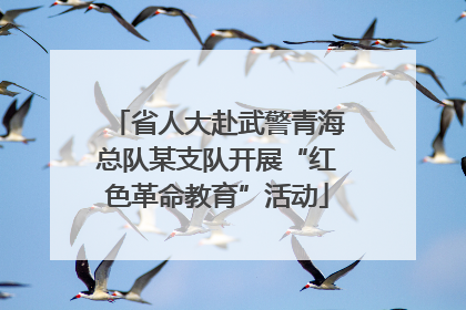 省人大赴武警青海总队某支队开展“红色革命教育”活动