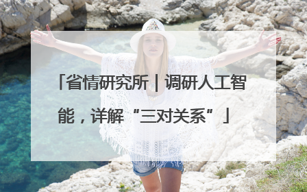 省情研究所｜调研人工智能，详解“三对关系”