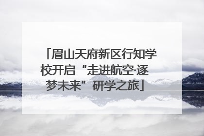 眉山天府新区行知学校开启“走进航空·逐梦未来”研学之旅