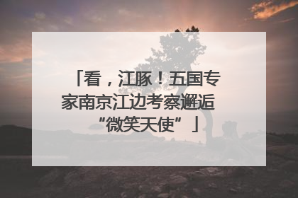 看，江豚！五国专家南京江边考察邂逅“微笑天使”